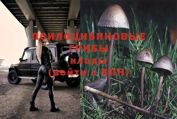 спиды Баксан
