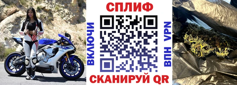 Конопля Ganja Курлово